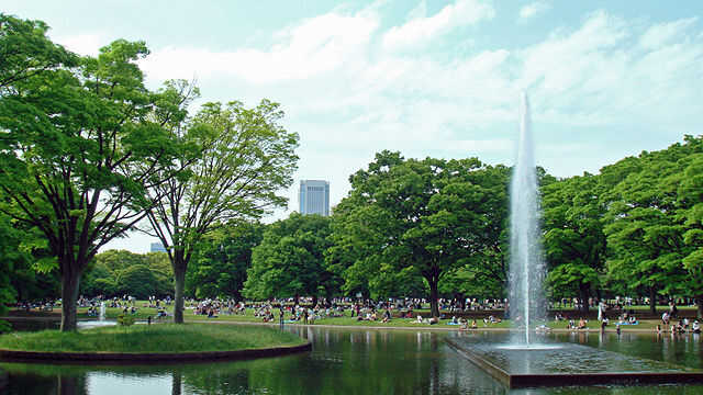 Yoyogi Park Fountain