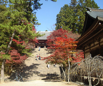 Kyoto's Takao attractions and access