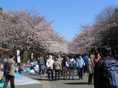 Ueno Park attractions and access