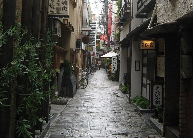 Hozenji Yokocho Alley