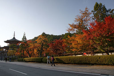 Mount Koya attractions and access