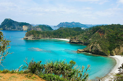 Ogasawara Islands attractions and access