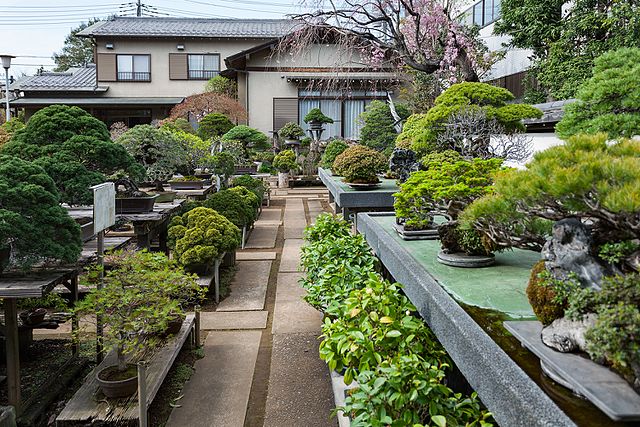 Bonsai Gardens - Fuyo-en