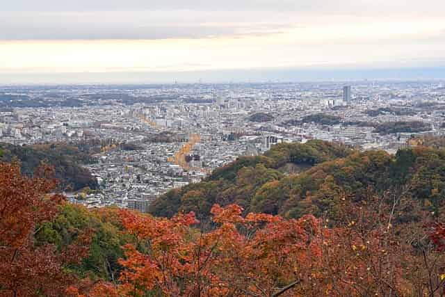  Hachioji Seen From Mount Takao