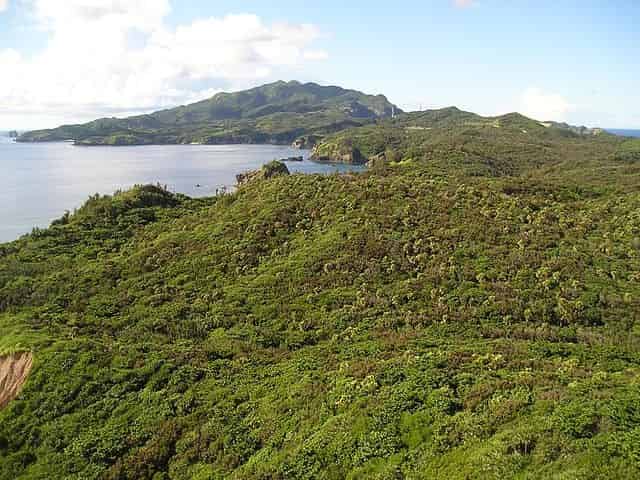Hahajima Island Viewed From Mount Kofuji