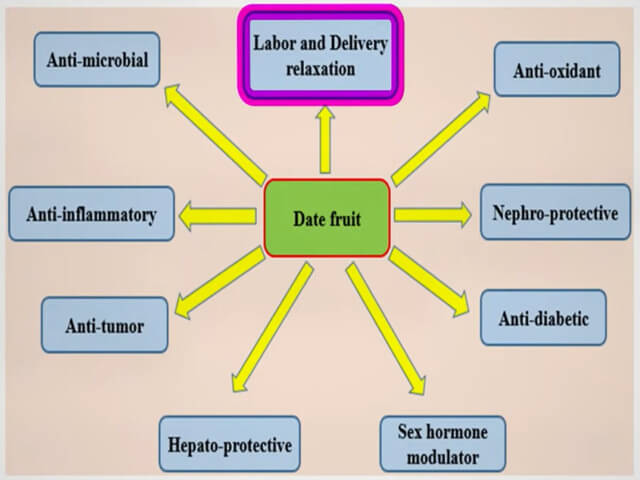 The Effect Of Date Fruit On Labor And Delivery (Chart)