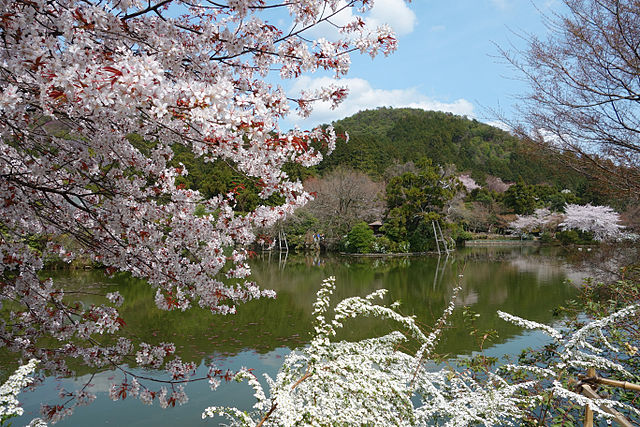 Ryoanji Kyoyochi Pond