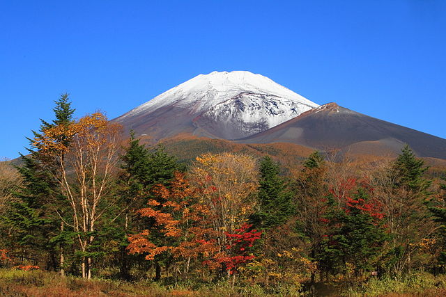 Fuji San - Autumn