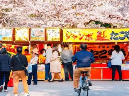 Osaka Cherry Blossom Food Tour