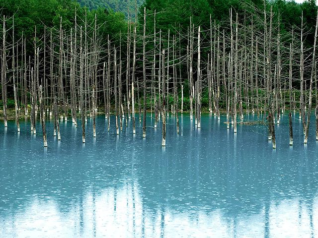 Biei - Blue Pond