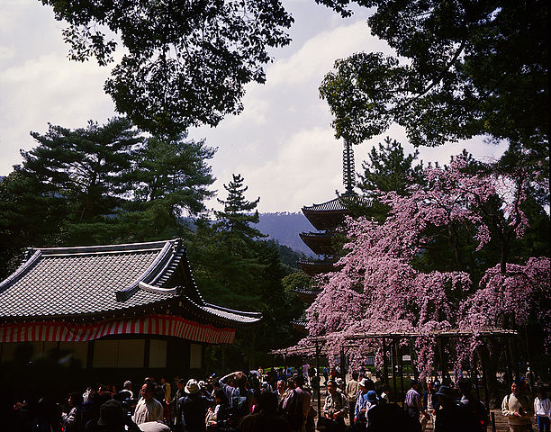 Five storied Pagoda in the Shimo Daigo area