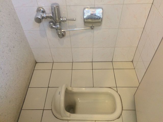 A contemporary Japanese squat toilet
