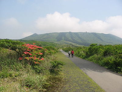 Izu Oshima Island attractions and access