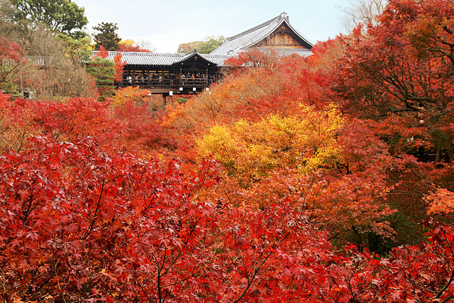 Tsutenkyo Bridge During Autumn