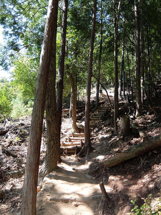 Takeda Castle Trail