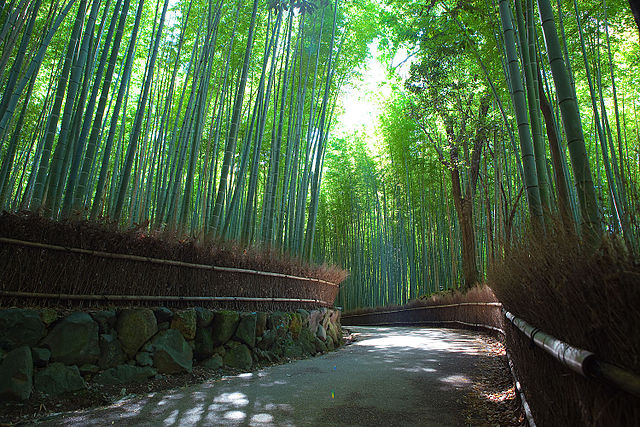 Arashiyama’s Bamboo Forest