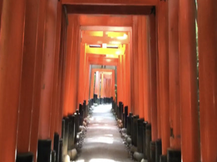 Fushimi Inari, the Mountain Sanctuary