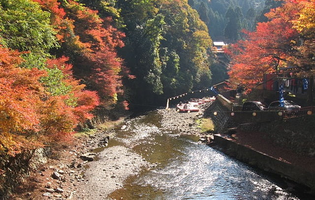 Kiyotaki River