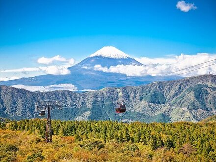 Mt Fuji and Hakone Full-Day Bus Tour