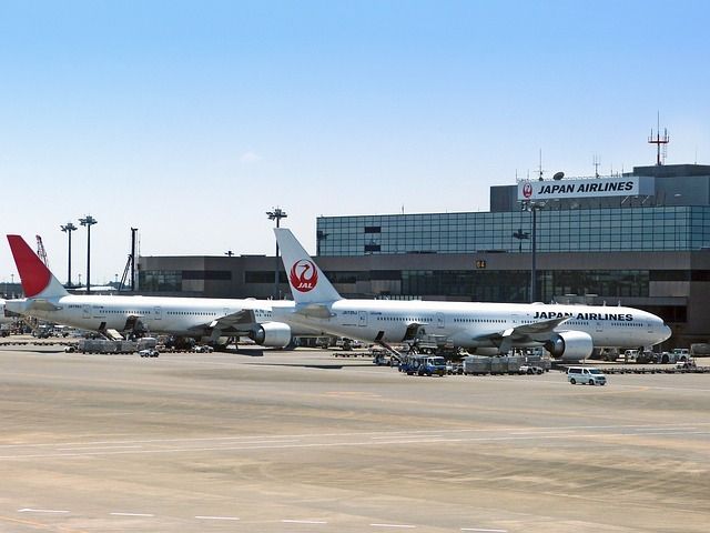 Japan Airlines In-Flight Halal Menu - JAL ハラールメニュー